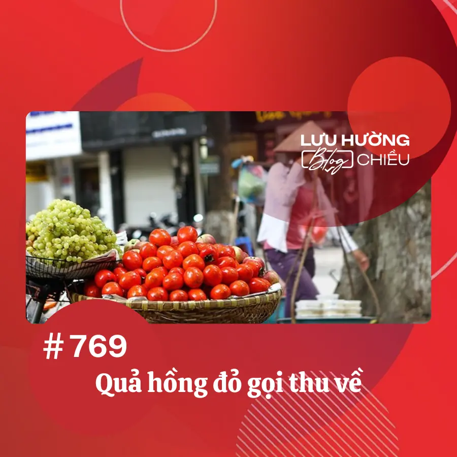 Quả hồng đỏ gọi thu về